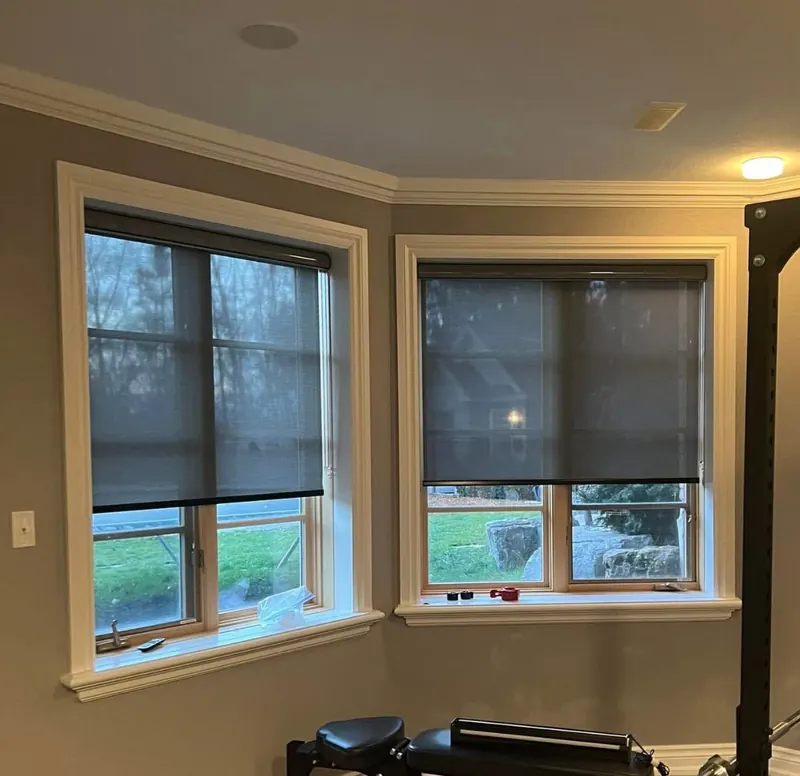 Dark solar-screen roller shades in a corner room