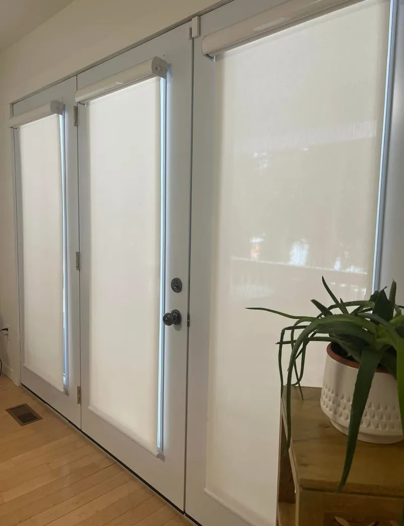 Roller shades on a patio door, beside a plant